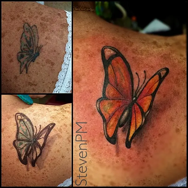 Animal, Nature