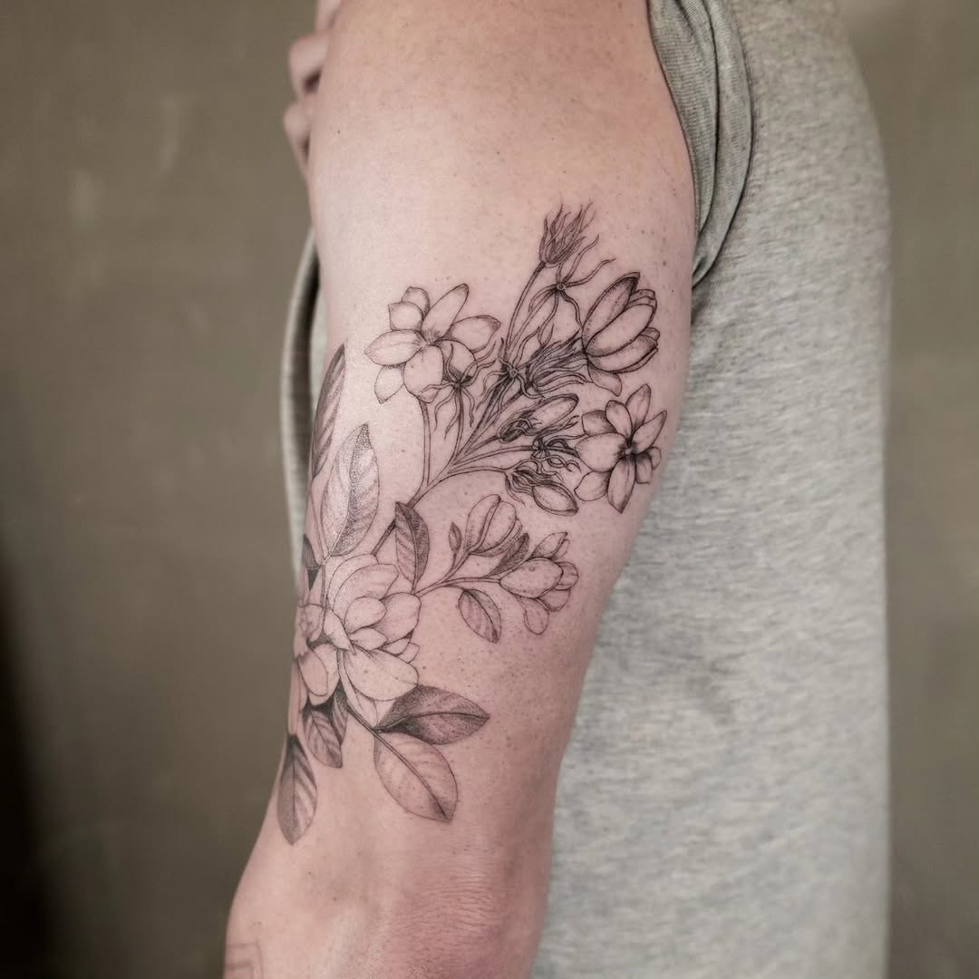 Flower, Rose, Nature