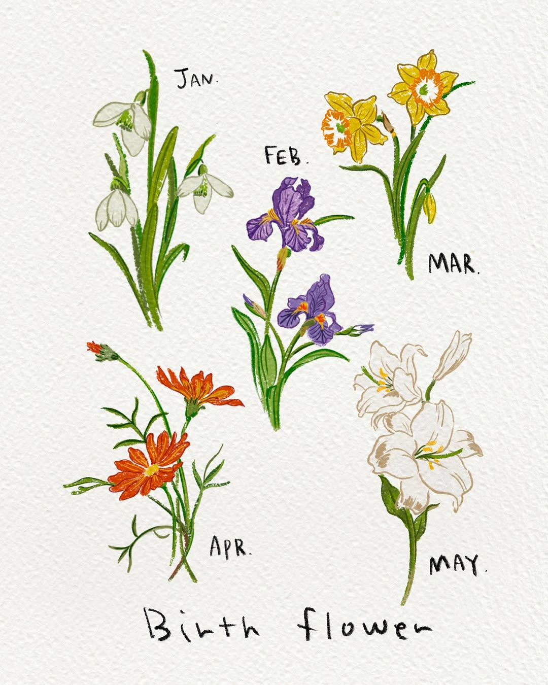 Flower