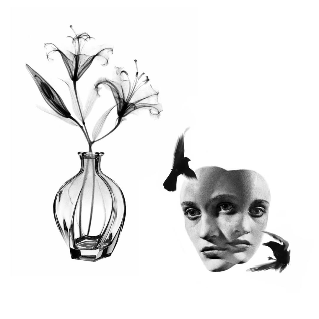 plantsnpokes
