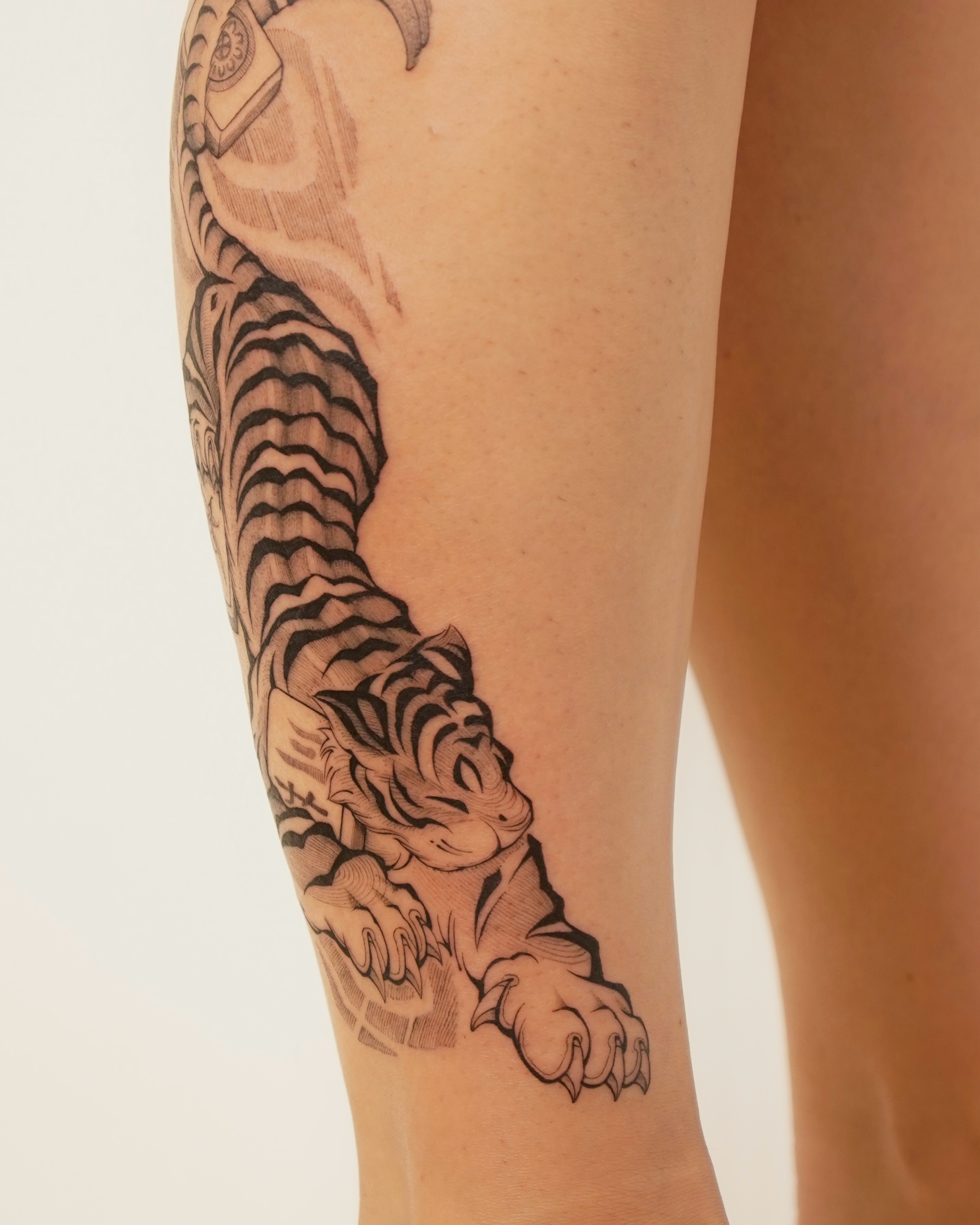 Tiger