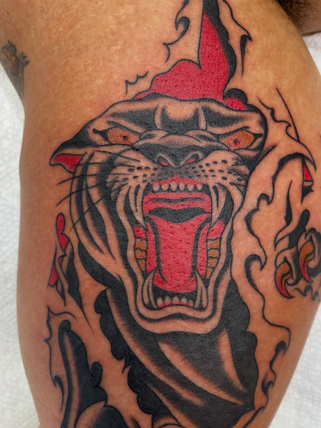 Tiger, Animal