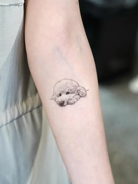 아기