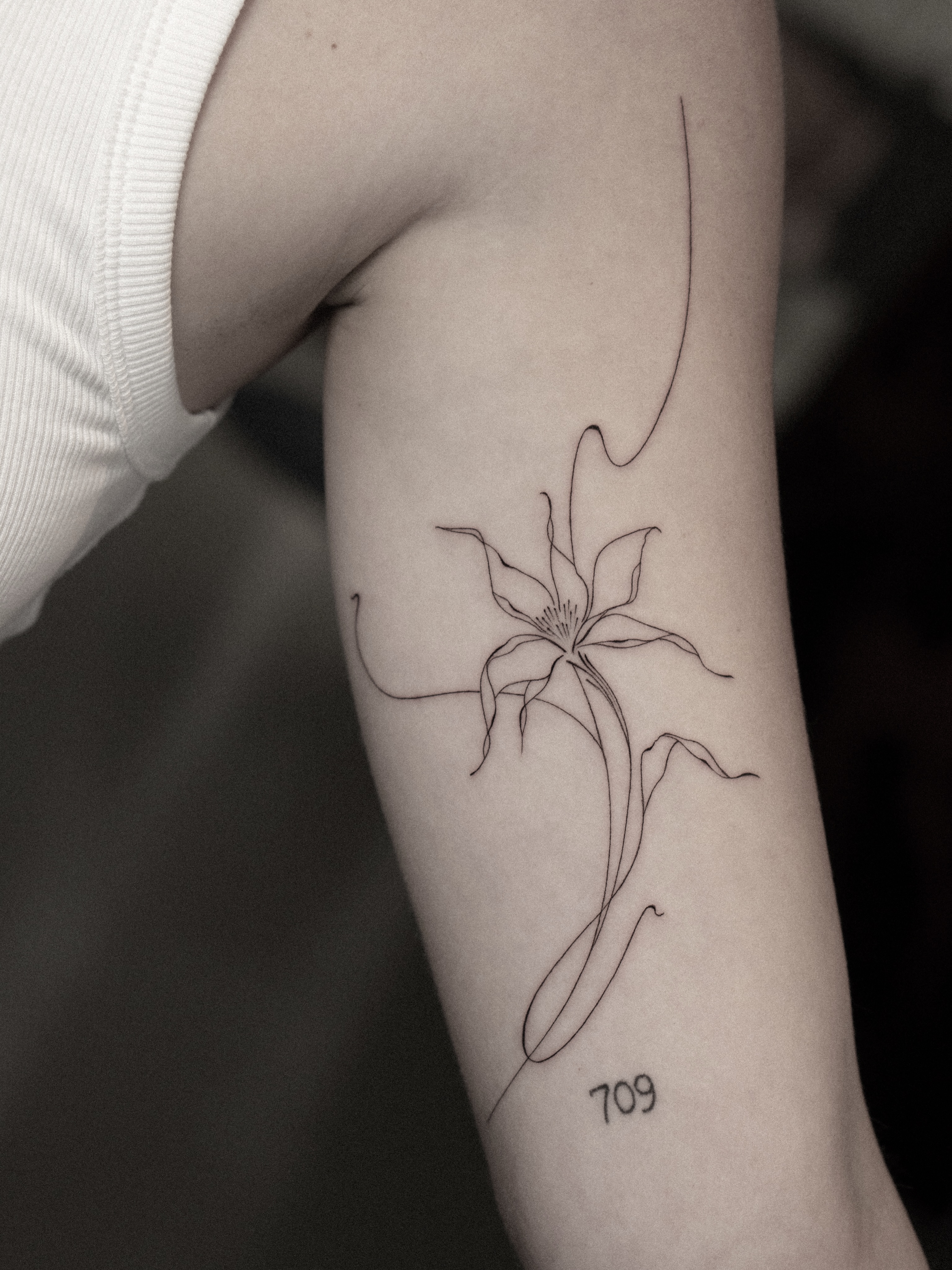Flower, Rose