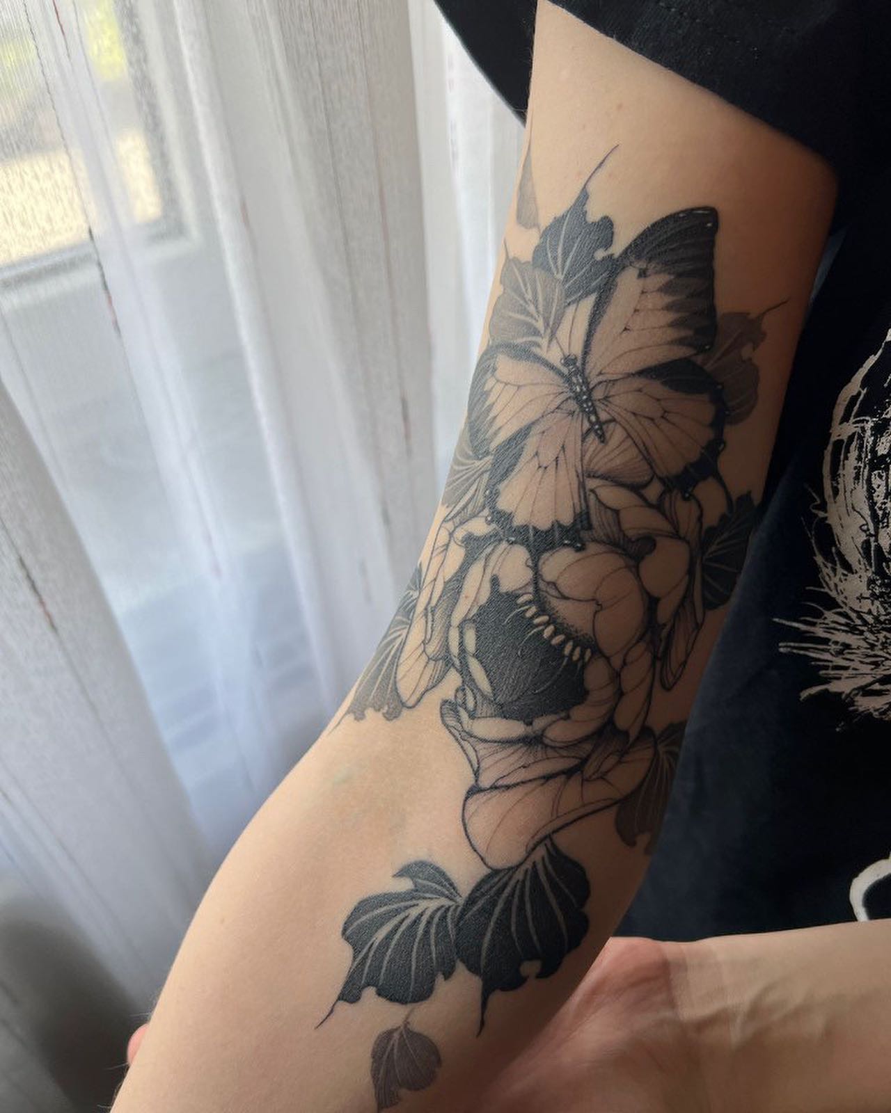 Animal, Nature, Flower