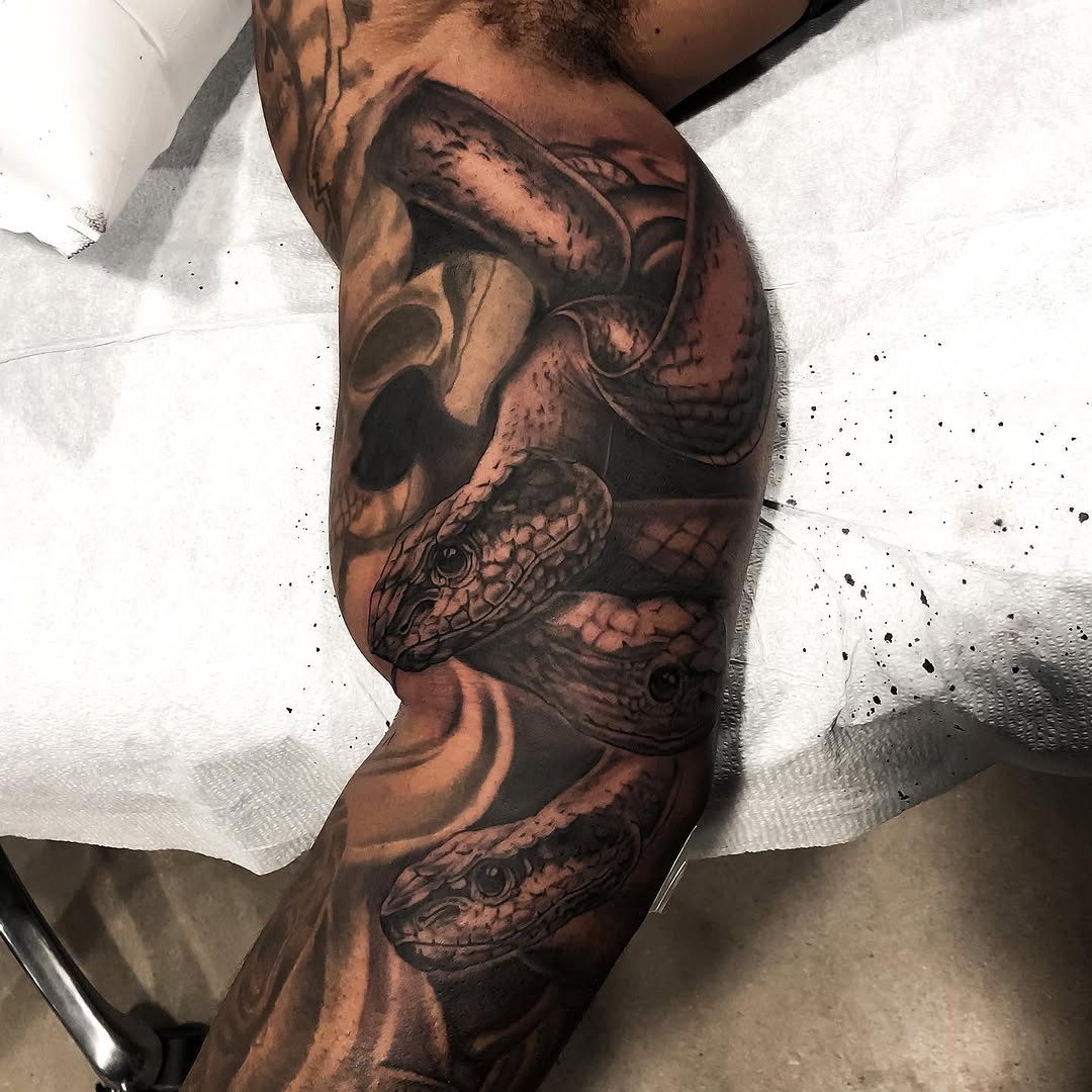 Dragon, Animal