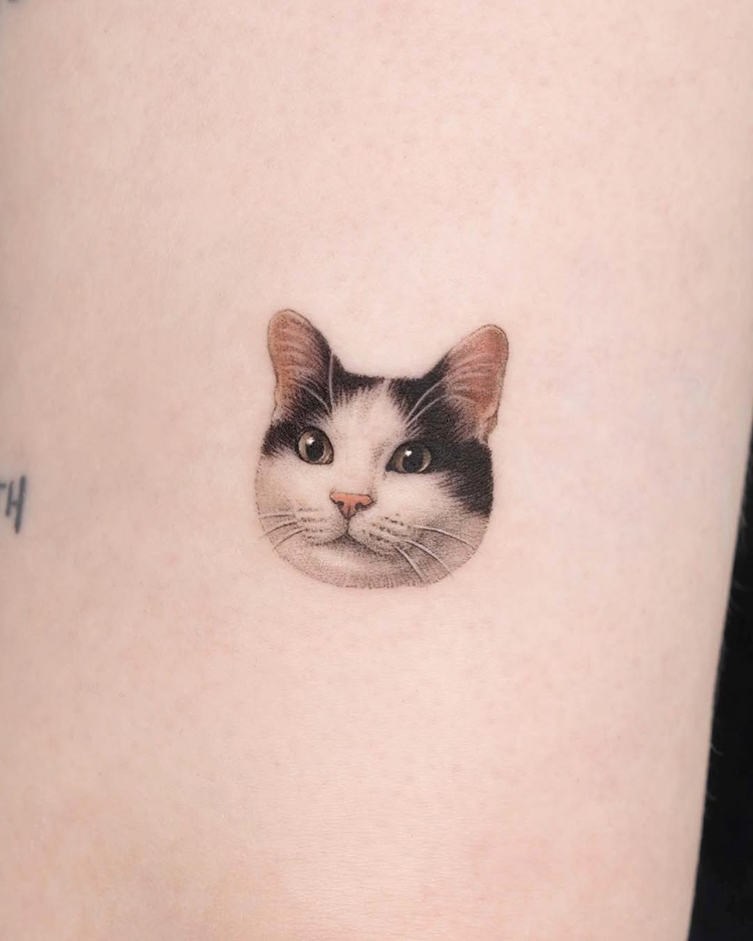 dorok.tattoo