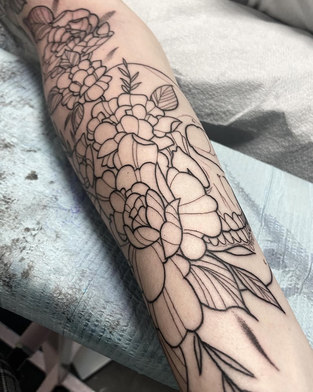 sarastigmata