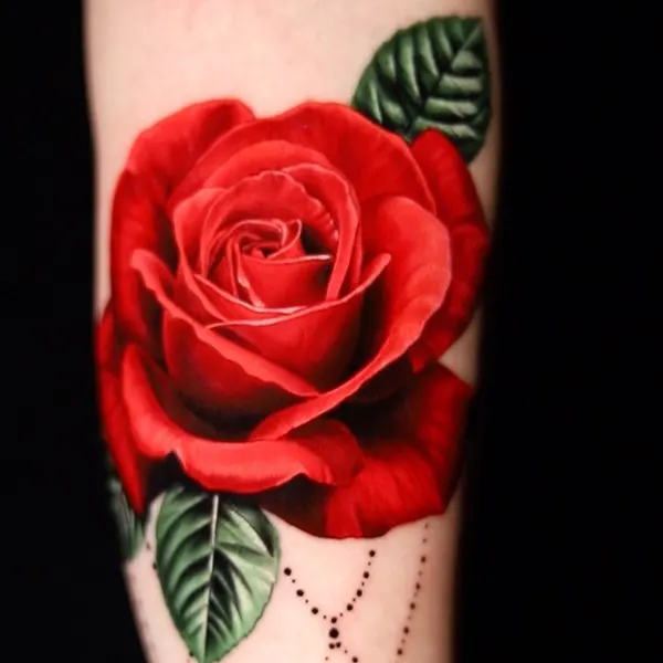 Flower, Rose