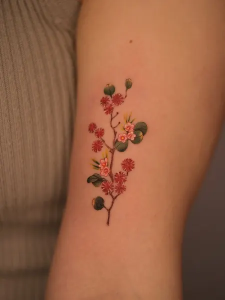 벚꽃, Flower, 매화