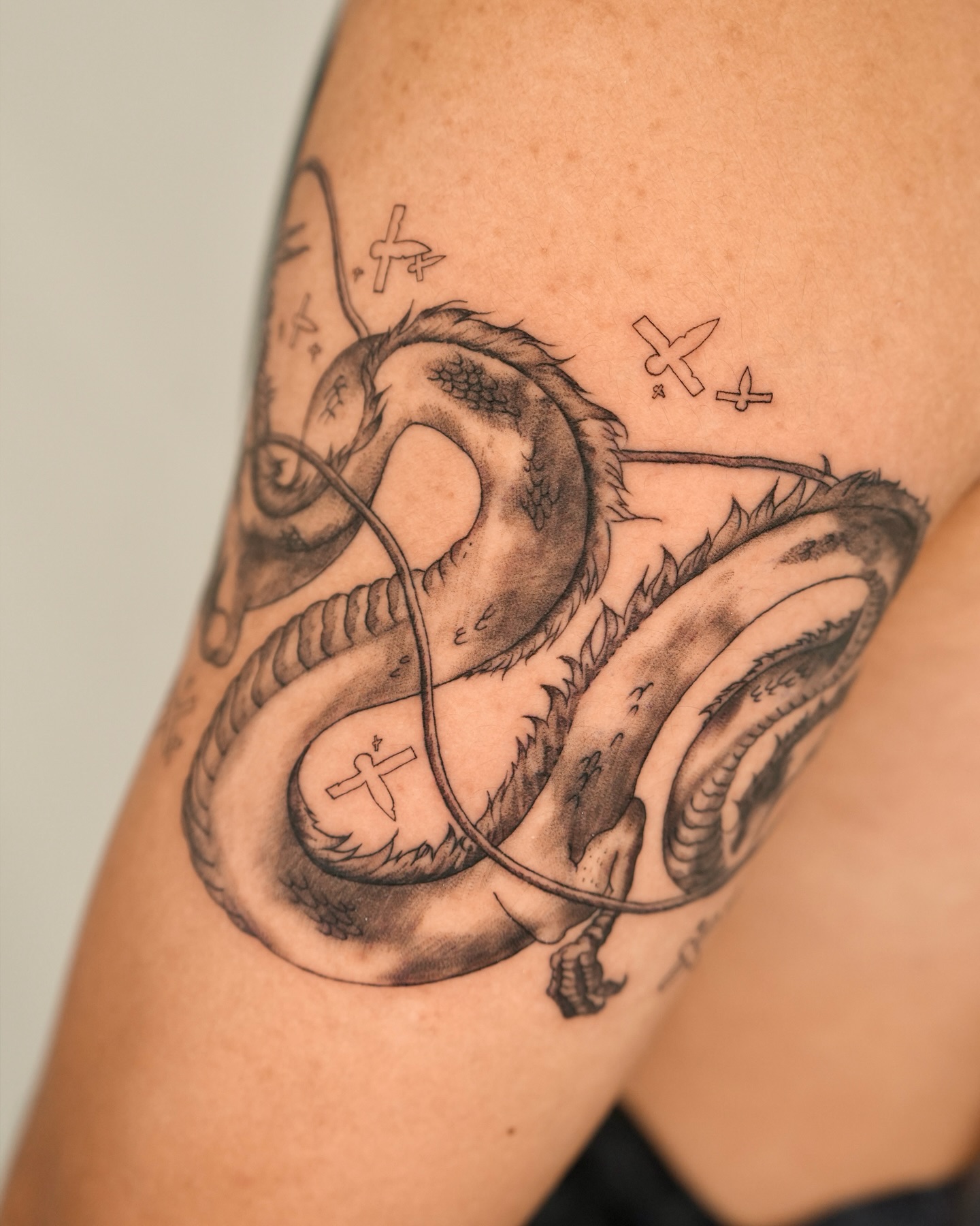 Dragon