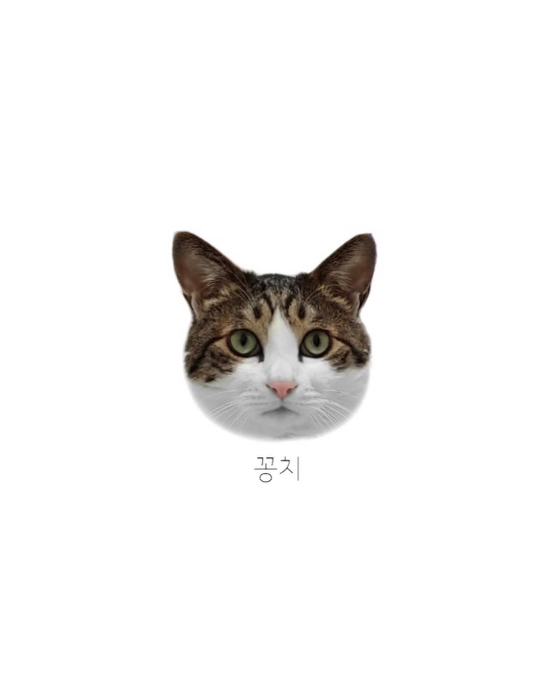 dorok.tattoo