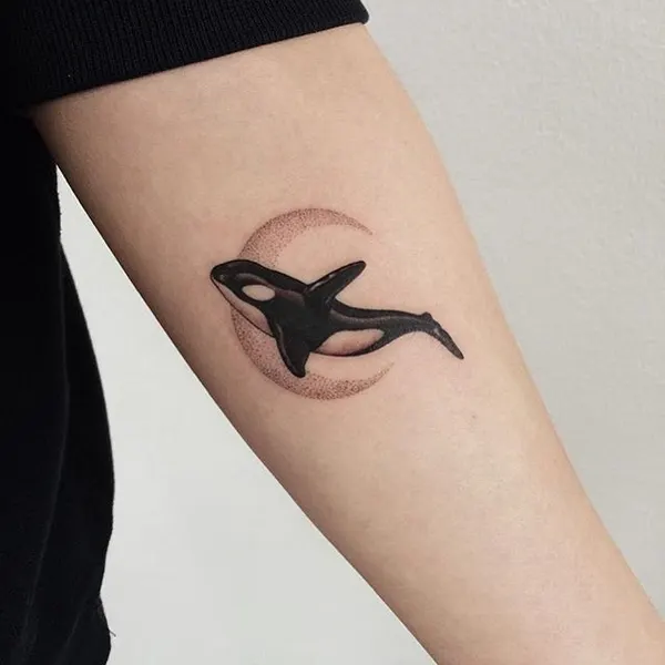 equilattera