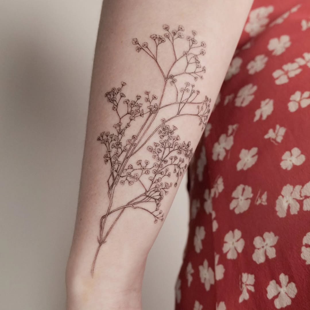 Rose, Flower