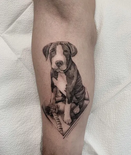 Animal