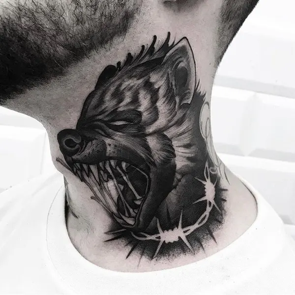 Tiger, Animal