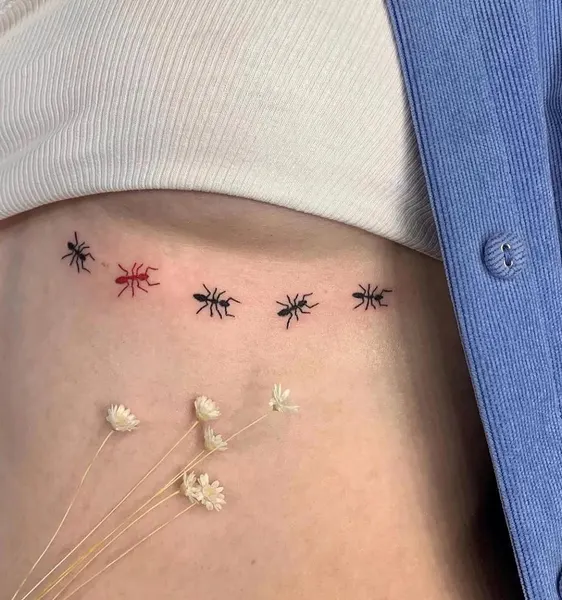 equilattera