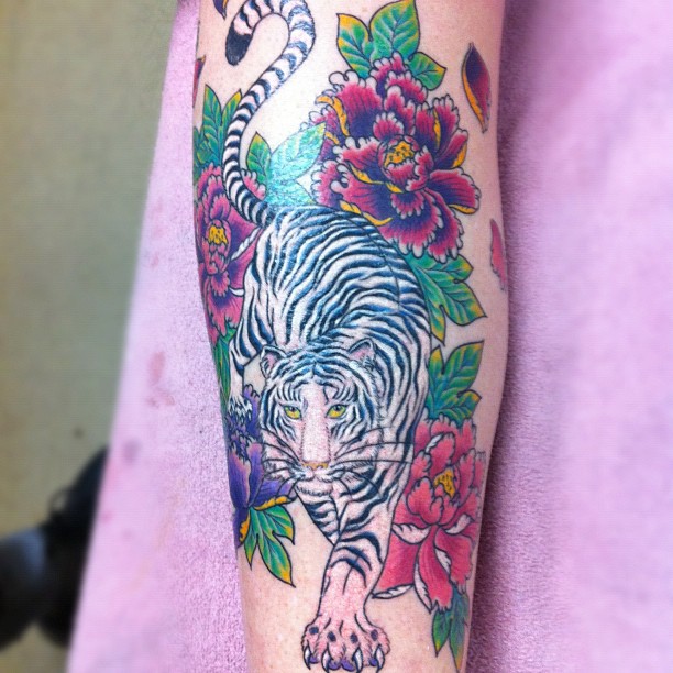 Tiger