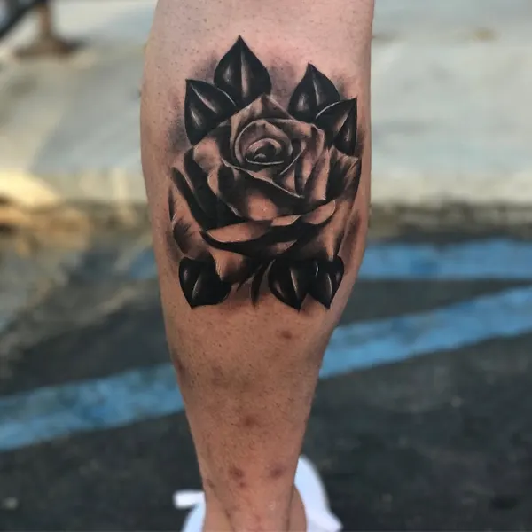 Flower, Rose