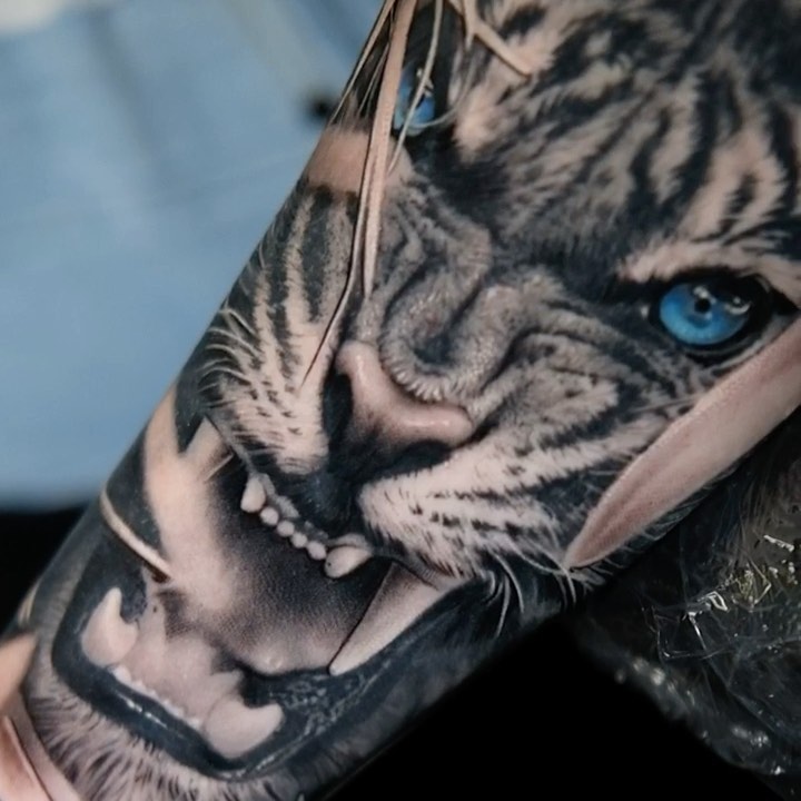 Tiger