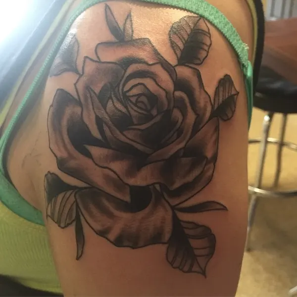 Flower, Rose, Nature