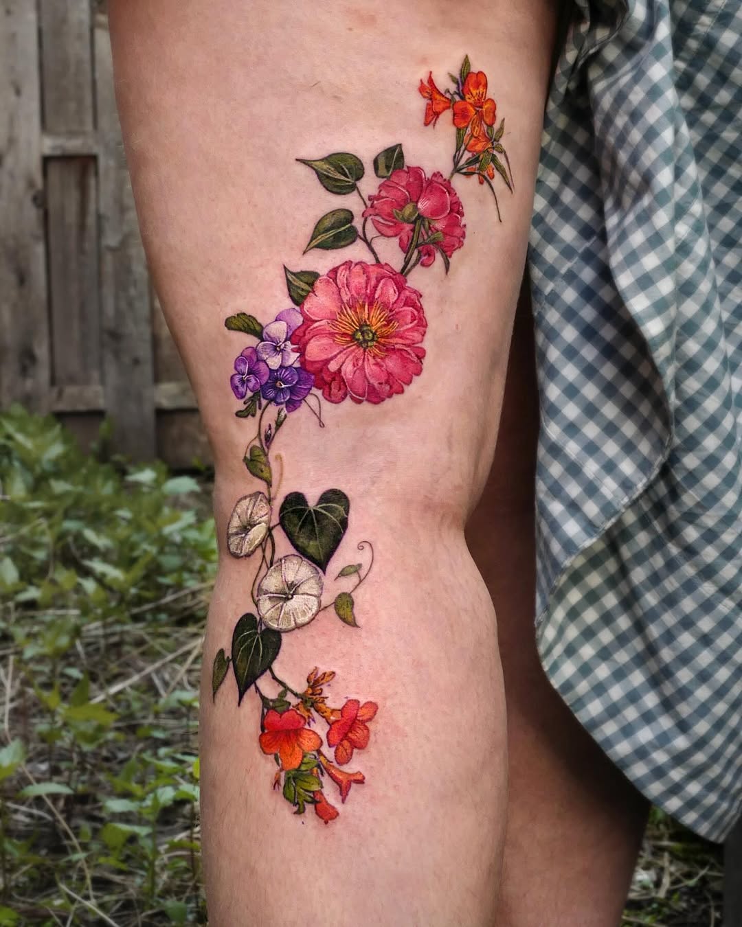 Rose, Flower