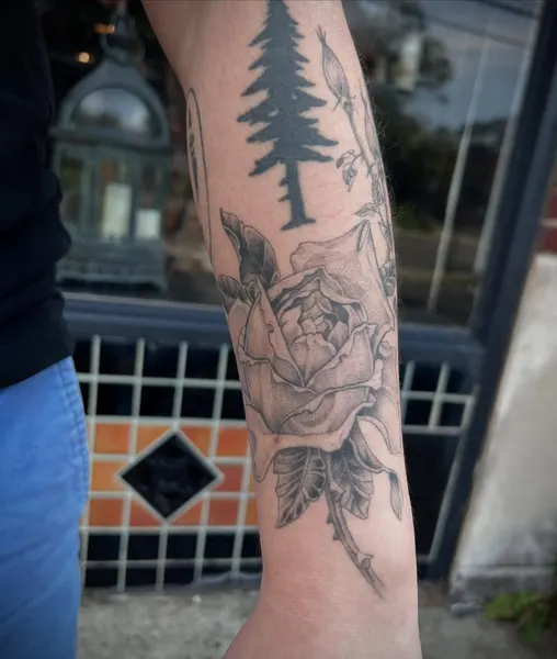 Flower, Rose