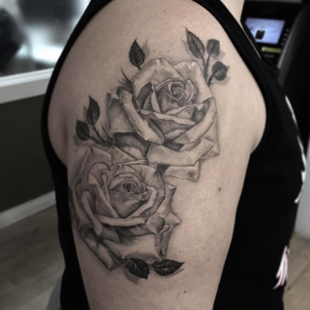 Flower, Rose, Nature