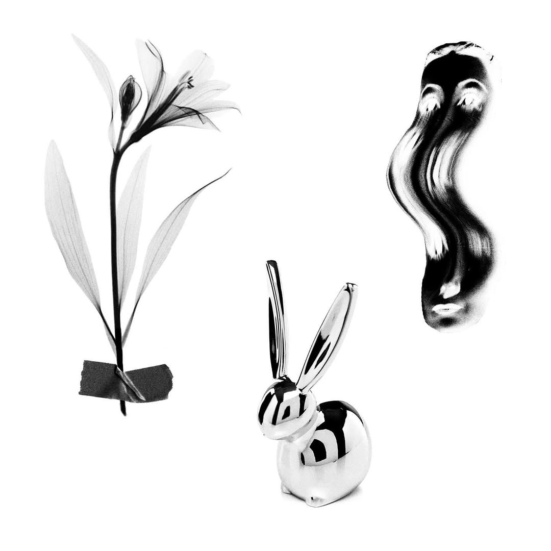 plantsnpokes