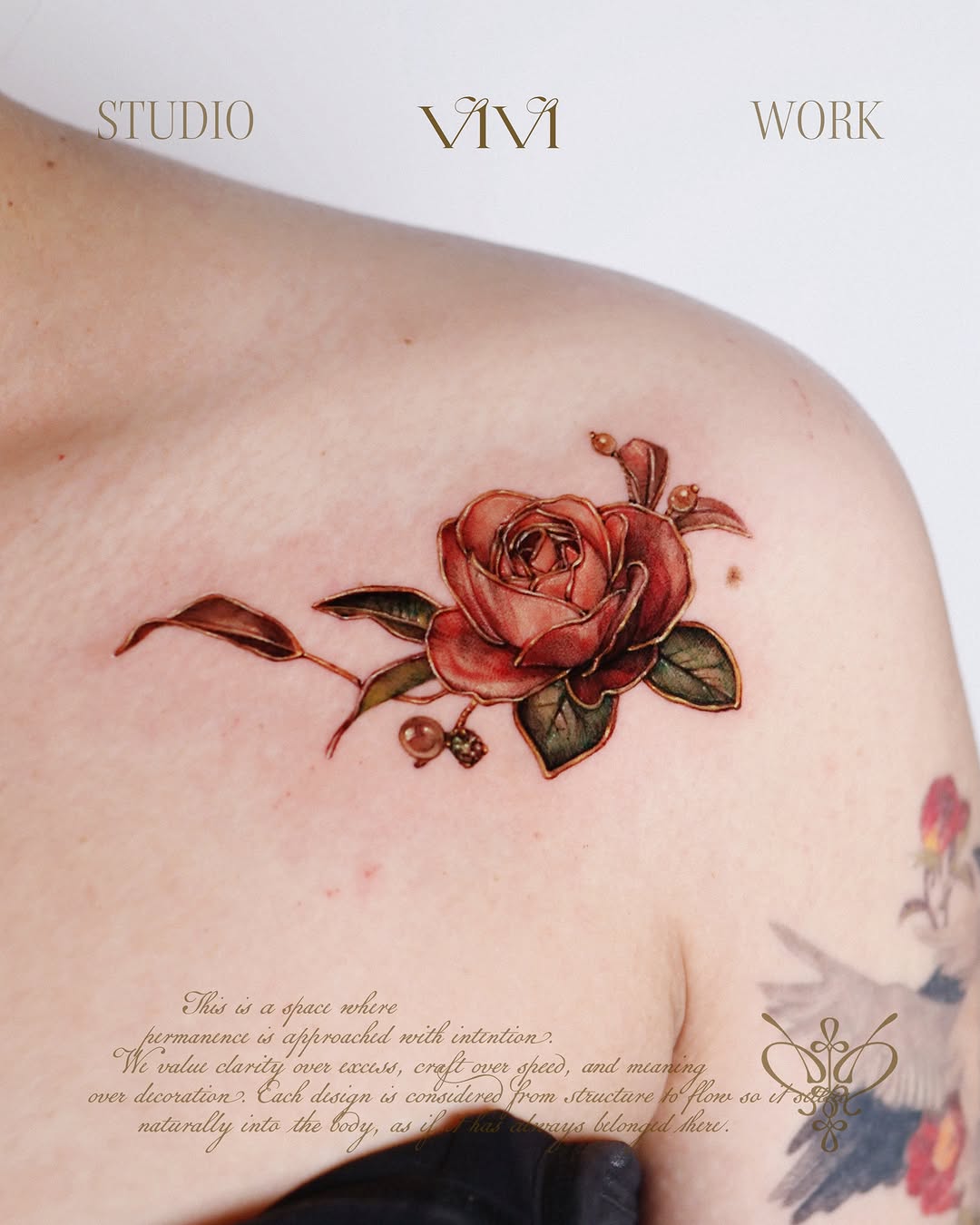Flower, Rose, Nature