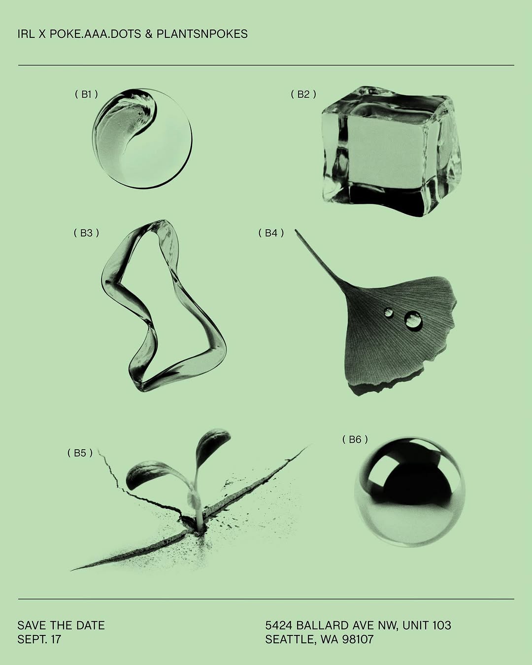 plantsnpokes
