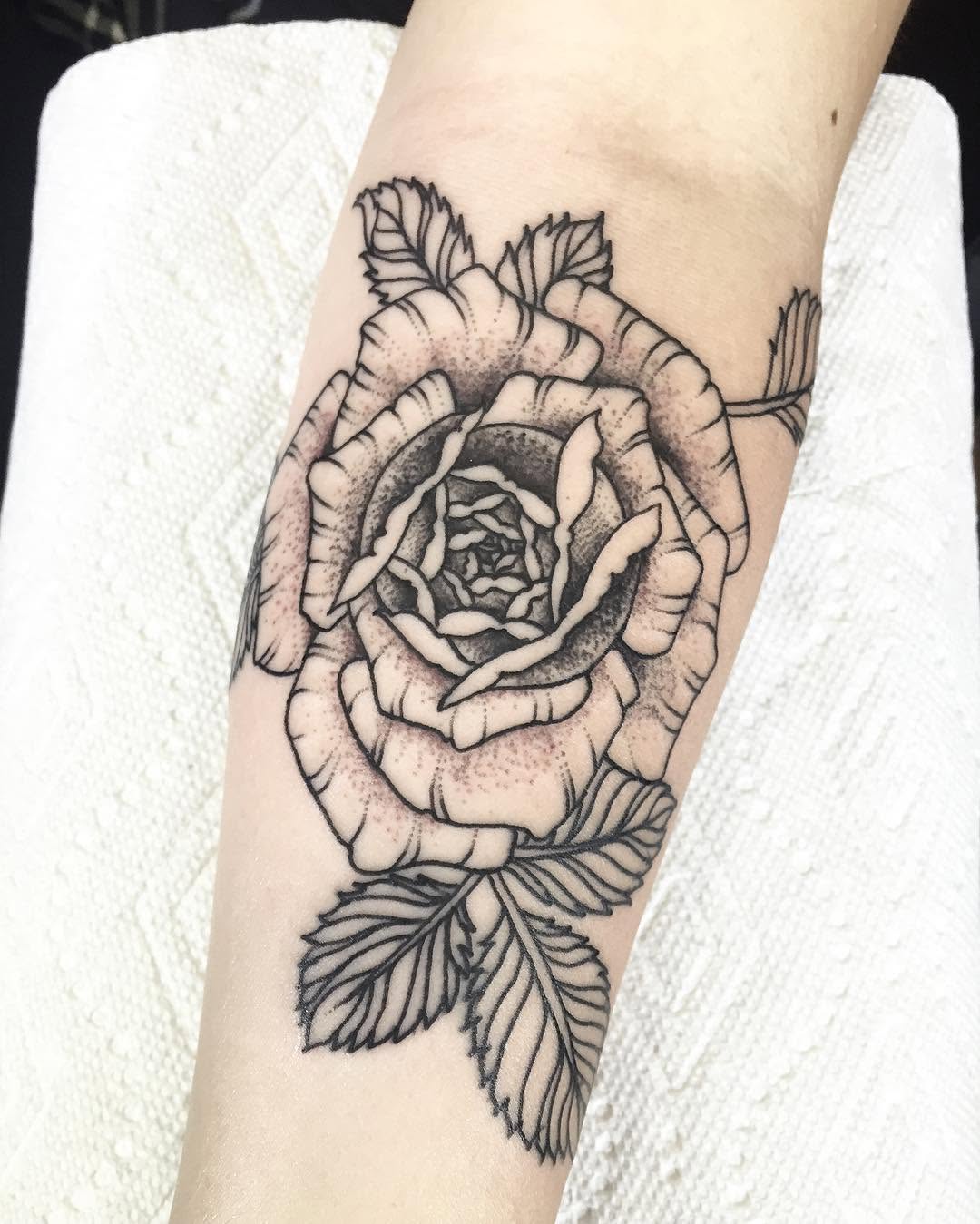 Flower, Rose