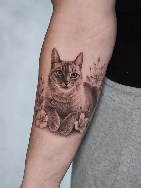 Animal