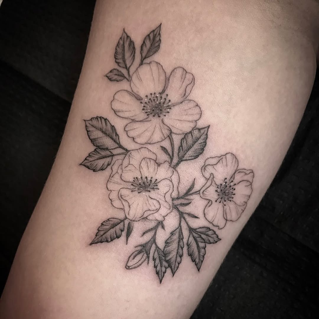 Flower, Rose