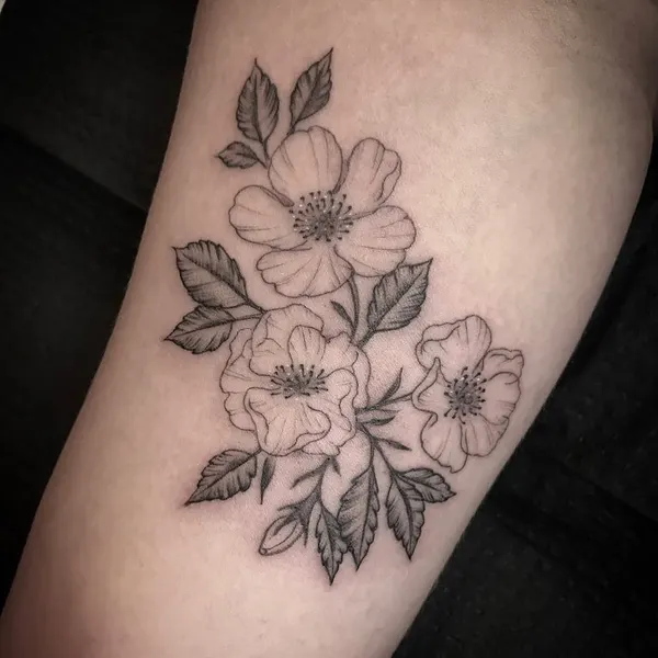 Flower, Rose