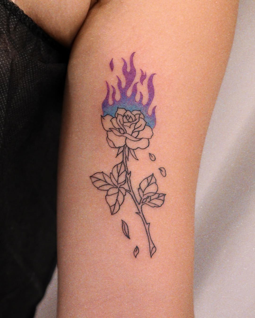 Flower, Rose