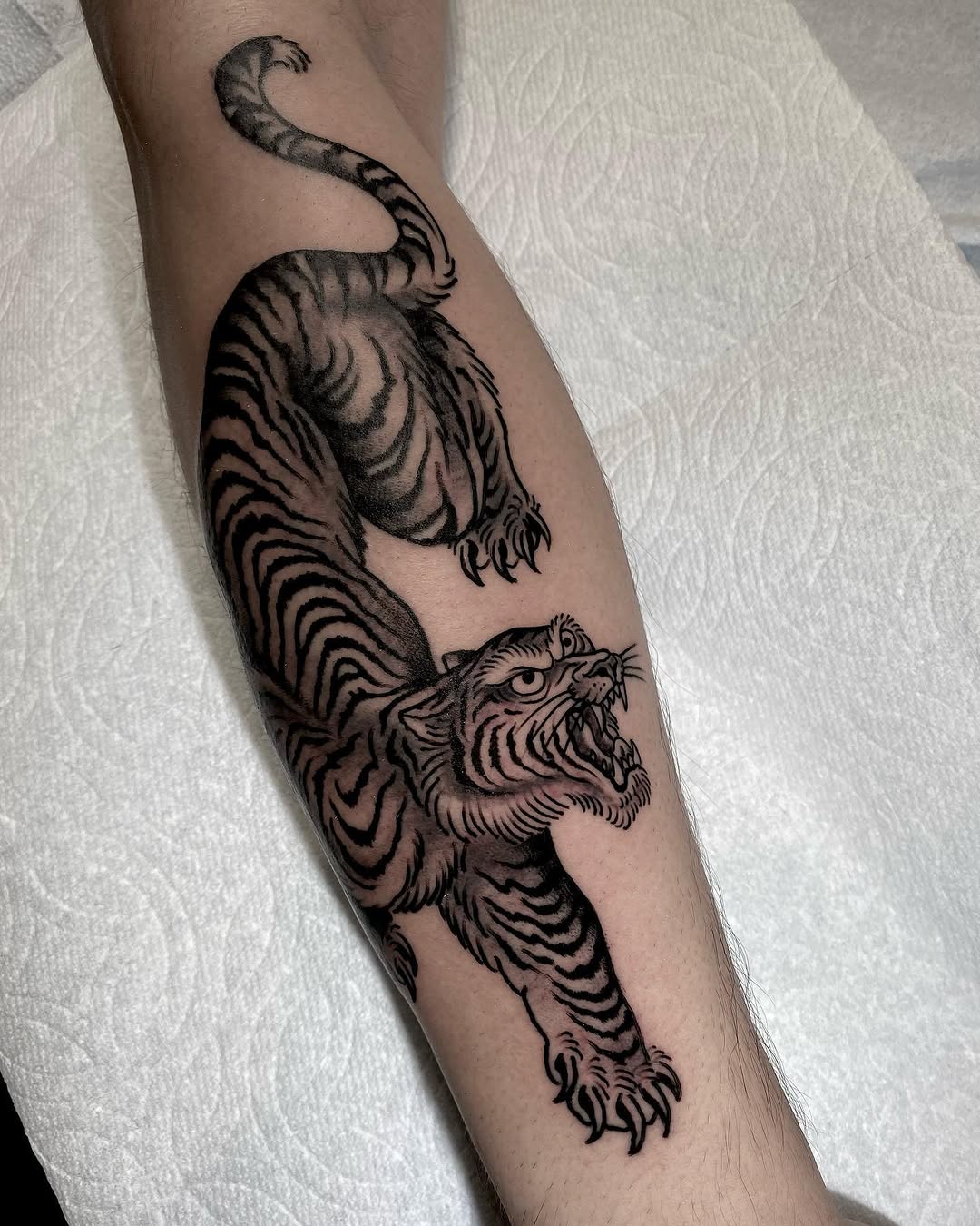 Tiger