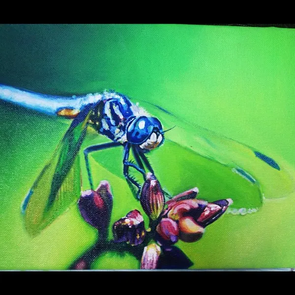 Animal, Nature