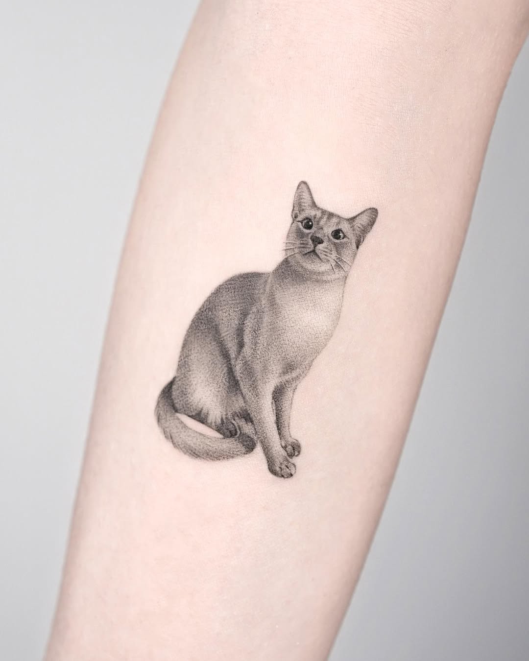 dorok.tattoo