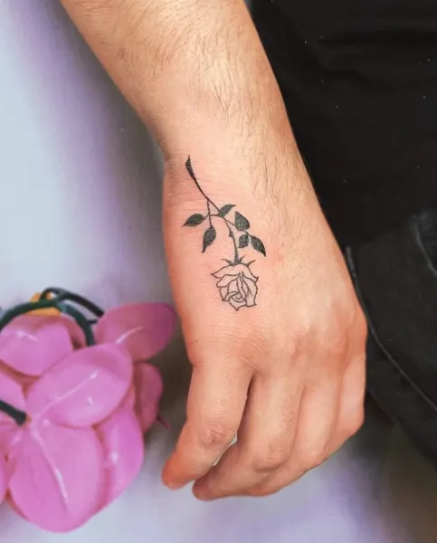 Flower, Rose