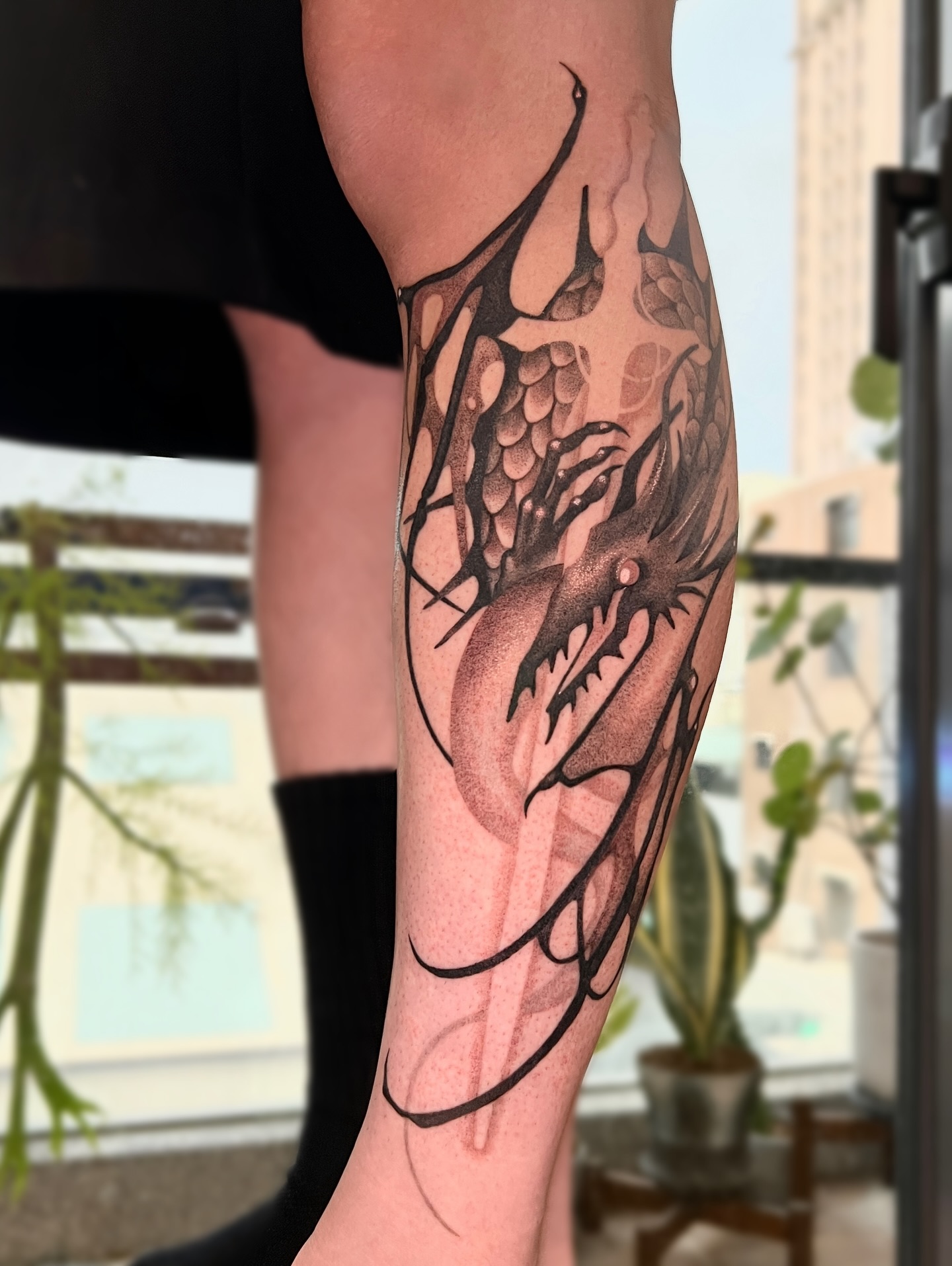 Dragon