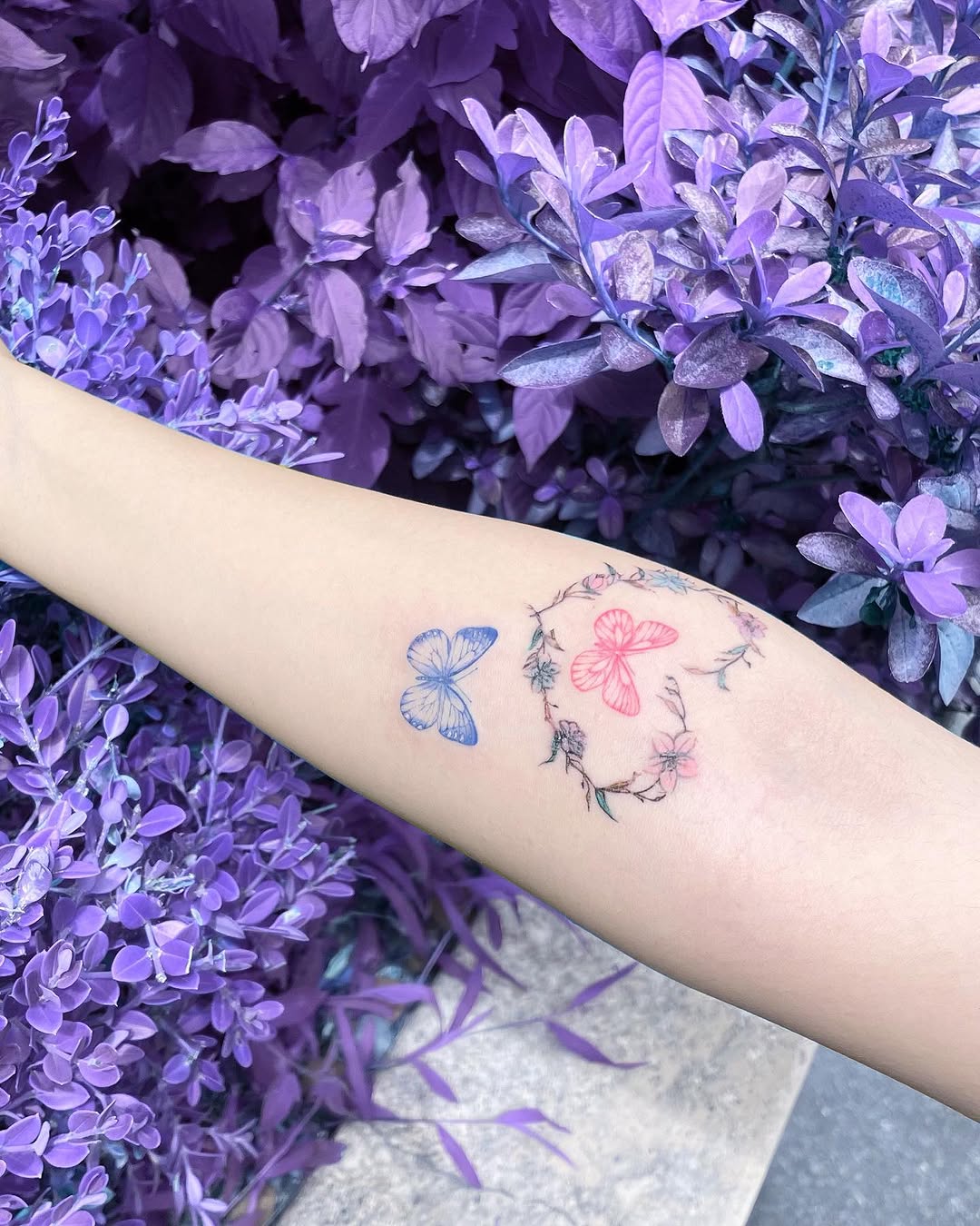 Flower, Nature