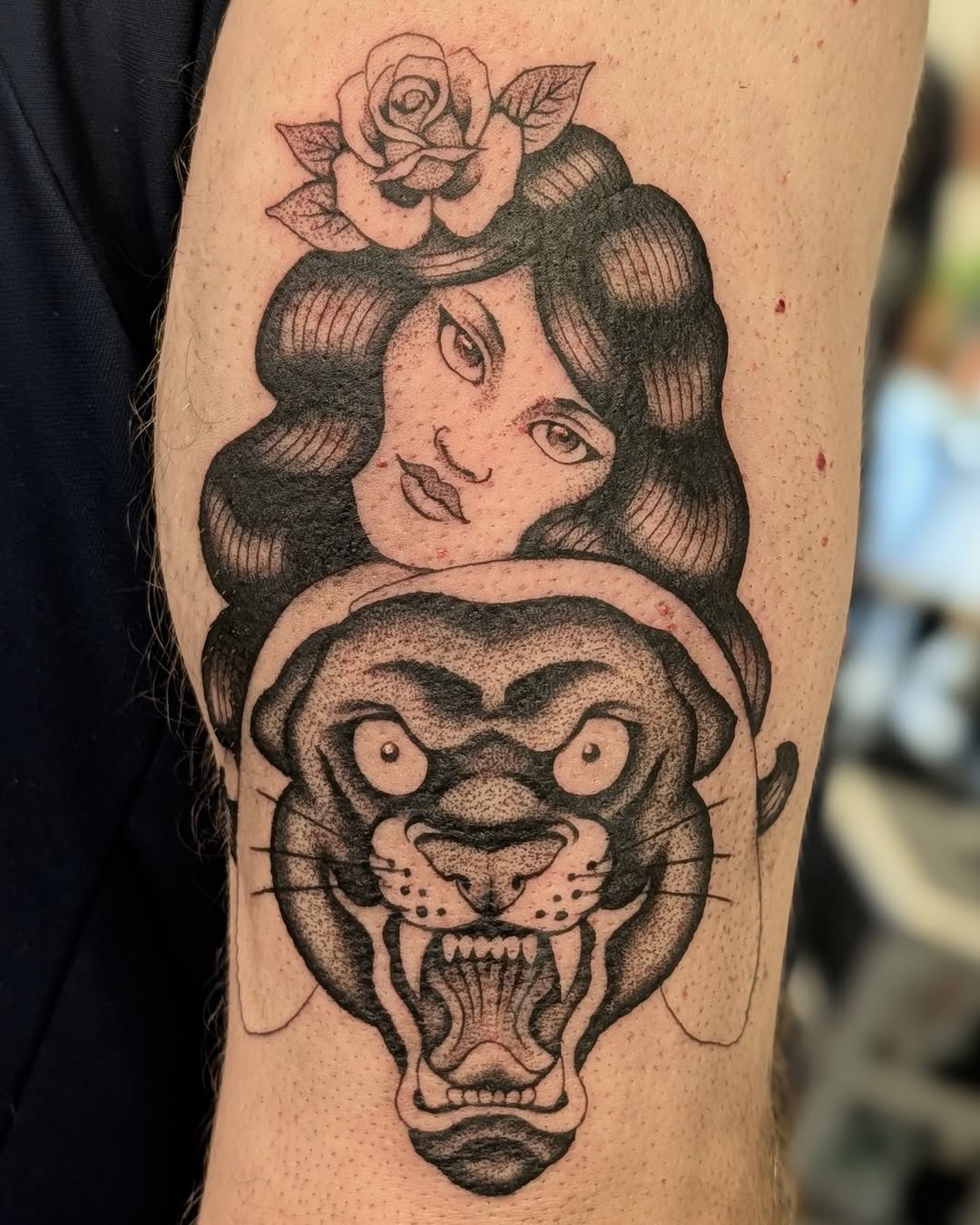 Tiger, Animal