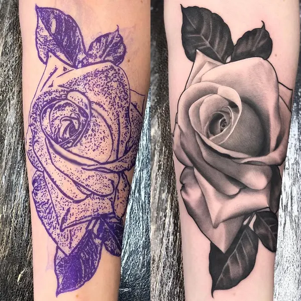 Flower, Rose