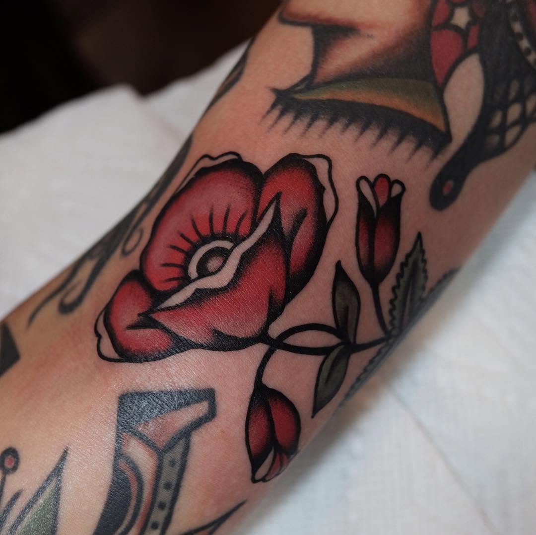Flower, Rose