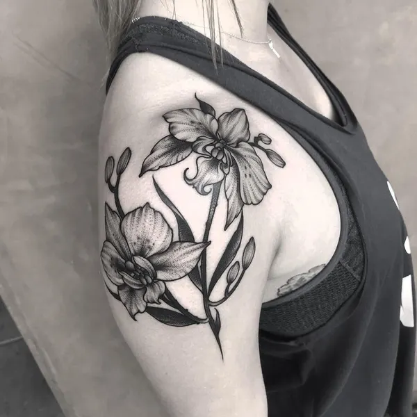 Flower, Rose