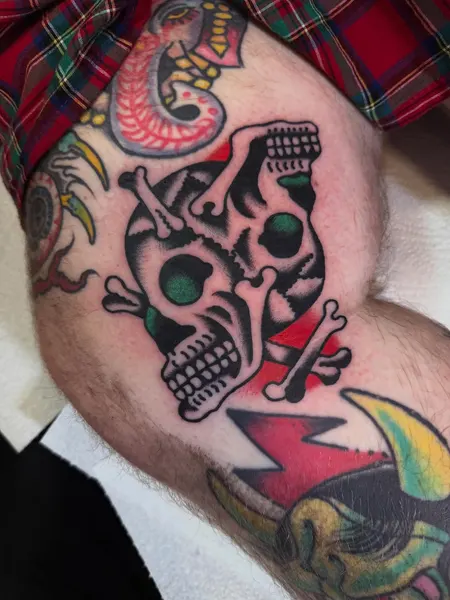 Animal, Skull
