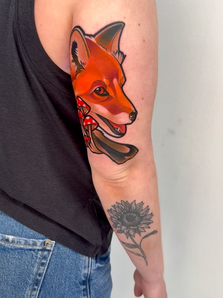 Animal, 여우