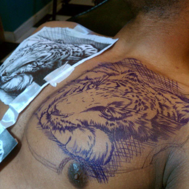 Tiger