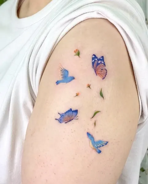 Animal, Nature, Flower